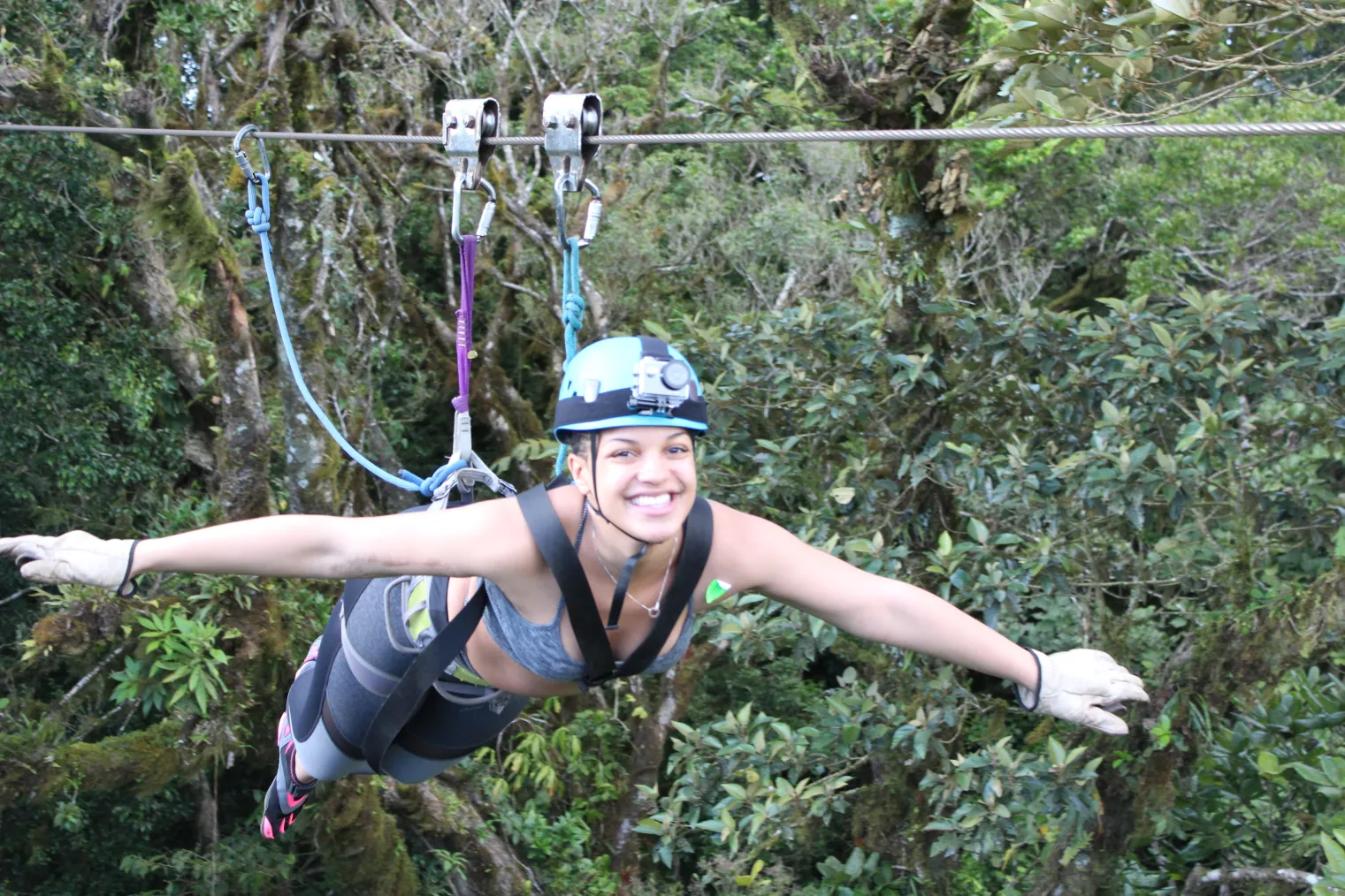 A Must-Do Tour in Monteverde!