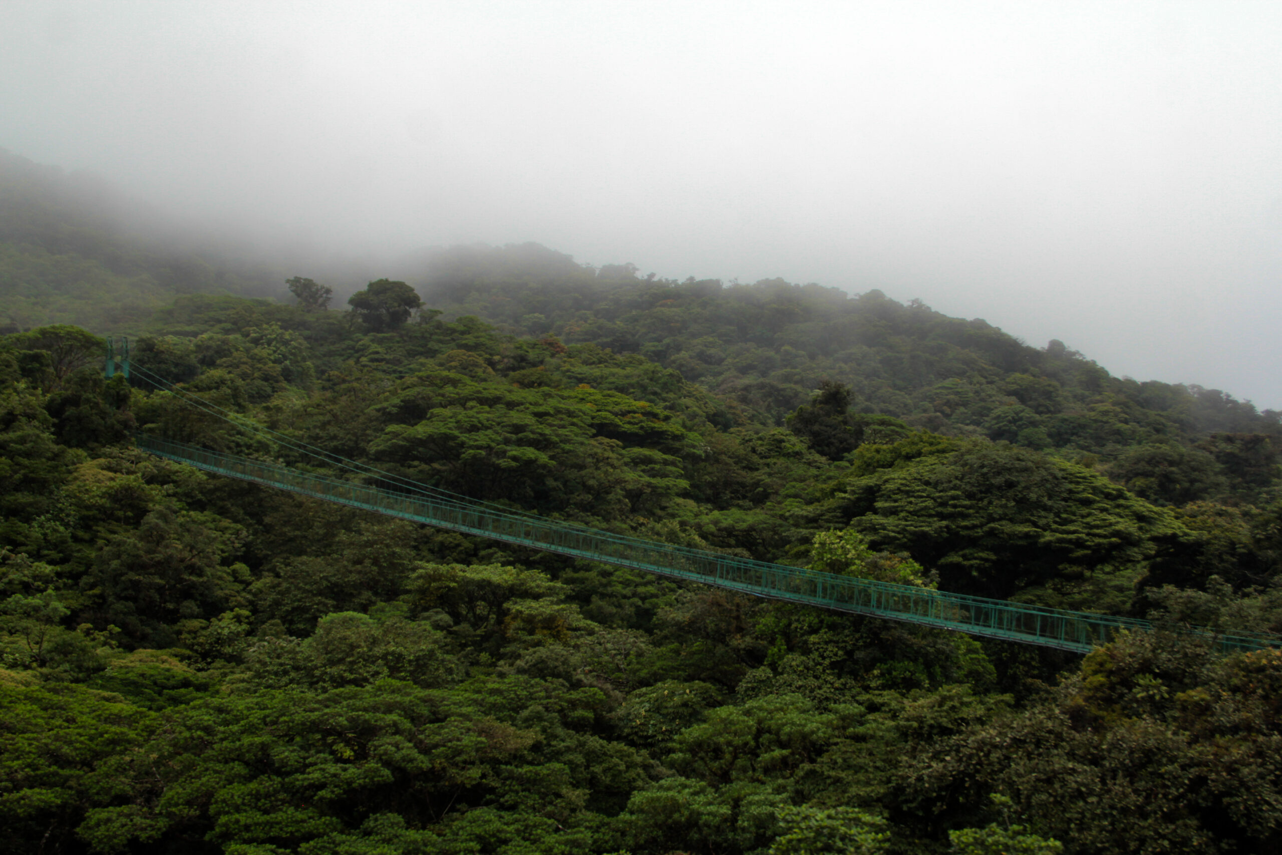 Monteverde